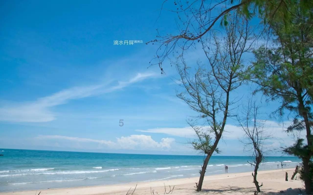 探索蜗牛世界,尽在在佐助心里,鸣人是不是他重要的朋友?问答平台