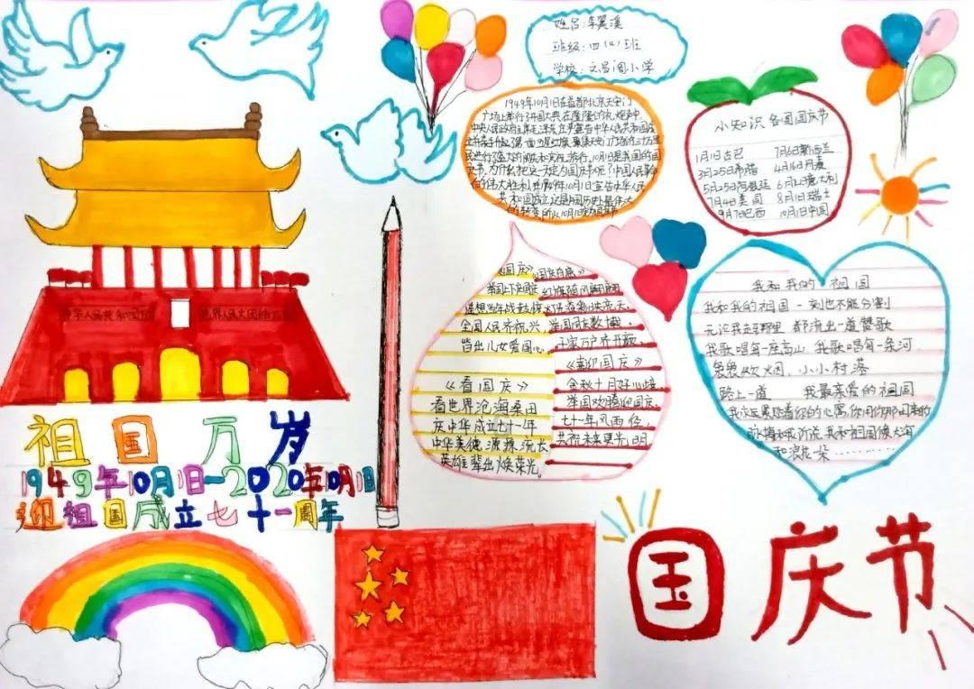 寻找萌宠松鼠